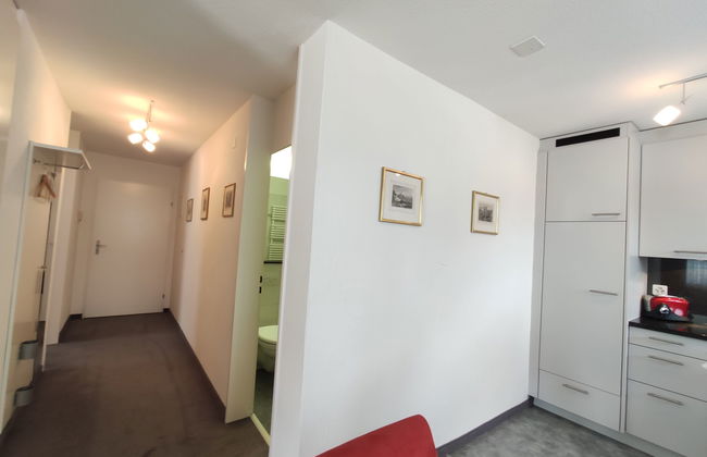 Apartamento de 2 quartos em Davos com jardim e terraço - Foto 15