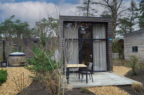 Foto 13 - Casa con 1 camera da letto a Beekbergen con piscina e giardino