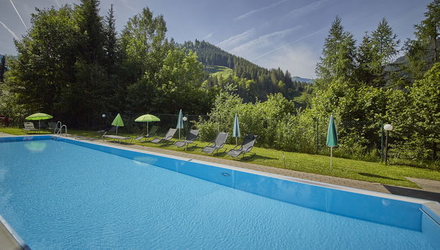 Appartamento con 2 camere da letto a Viehhofen con piscina e giardino - Foto 2