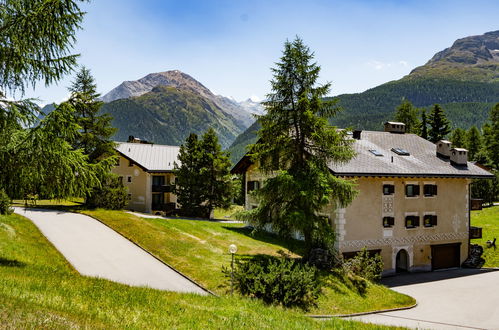 Foto 19 - Apartamento de 1 quarto em Pontresina com jardim e vista para a montanha