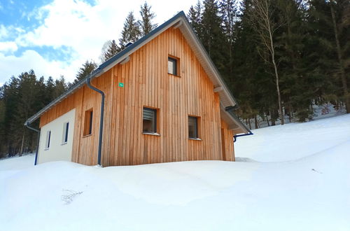 Foto 41 - Casa con 2 camere da letto a Smržovka con giardino e terrazza