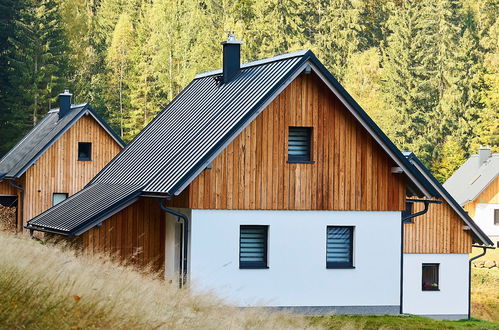 Foto 32 - Casa de 2 quartos em Smržovka com terraço