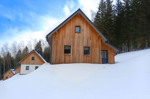 Foto 42 - Haus mit 2 Schlafzimmern in Smržovka mit garten und terrasse