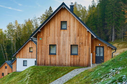 Foto 30 - Casa con 2 camere da letto a Smržovka con giardino e terrazza