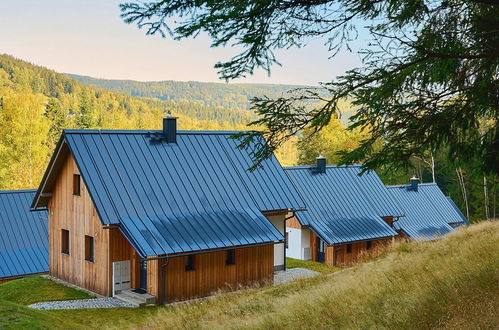 Foto 34 - Casa de 2 quartos em Smržovka com terraço