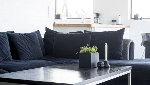 Haus mit 4 Schlafzimmern in Lønstrup mit privater pool und terrasse - Foto 3