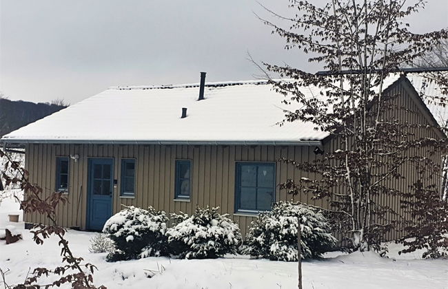 Casa de 4 quartos em Bad Arolsen com jardim e terraço - Foto 36