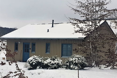 Photo 26 - Maison de 3 chambres à Bad Arolsen avec jardin et terrasse