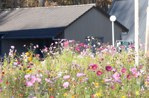 Photo 23 - Maison de 3 chambres à Bad Arolsen avec jardin et vues sur la montagne