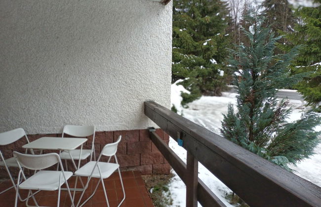 Apartamento de 5 quartos em Harrachov com jardim - Foto 23