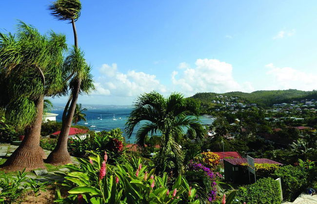 Panoramic - Photo 16