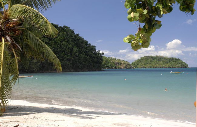 Panoramic - Photo 13