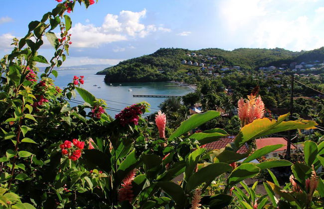 Panoramic - Photo 18