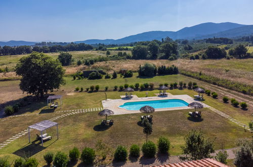 Foto 34 - Appartamento con 2 camere da letto a Scarlino con piscina e giardino