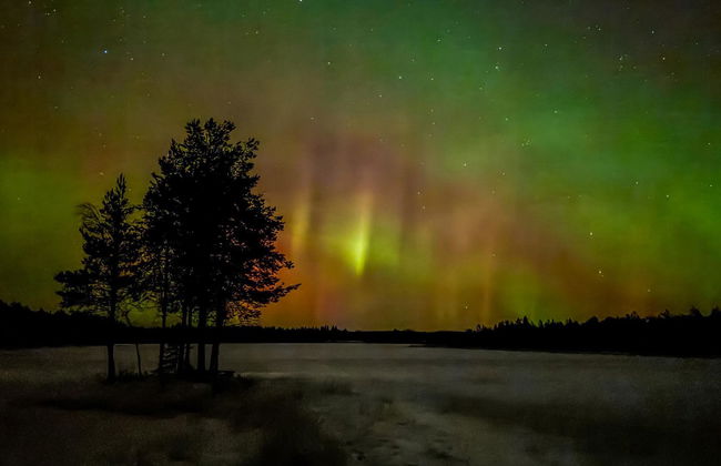 Haus mit 2 Schlafzimmern in Ylitornio - Foto 3