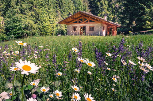 Photo 26 - Maison de 1 chambre à Comano Terme avec jardin et vues sur la montagne