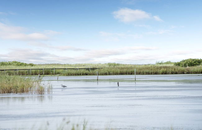 "Stamen" - 200m from the sea - Foto 8