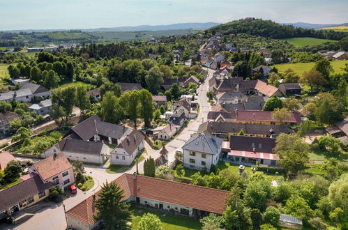 Foto 41 - Haus mit 5 Schlafzimmern in Kojetice mit garten und terrasse