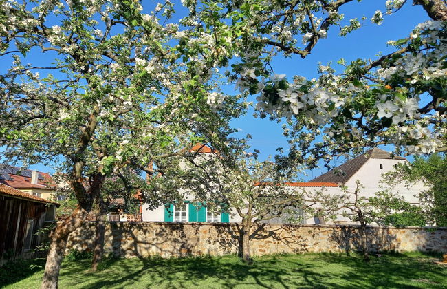 Haus mit 5 Schlafzimmern in Kojetice mit garten und terrasse - Foto 35