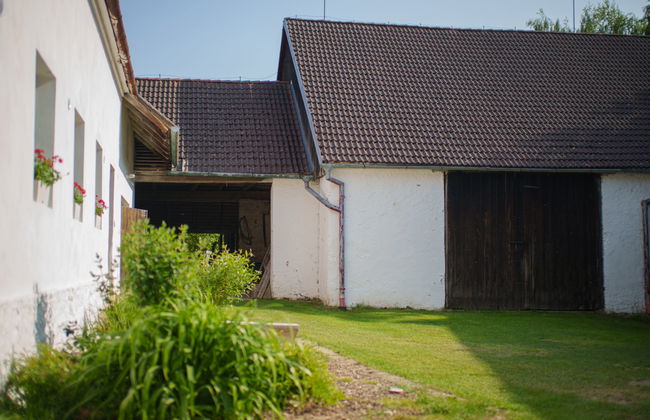 Haus mit 5 Schlafzimmern in Kojetice mit garten und terrasse - Foto 37