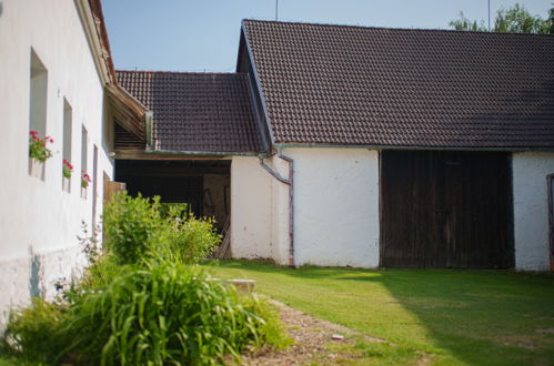 Foto 37 - Casa con 5 camere da letto a Kojetice con giardino e terrazza