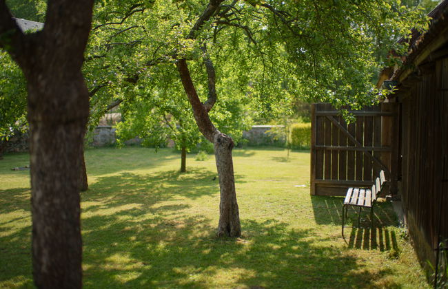 Haus mit 5 Schlafzimmern in Kojetice mit garten und terrasse - Foto 32