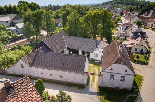 Foto 5 - Haus mit 5 Schlafzimmern in Kojetice mit garten und terrasse