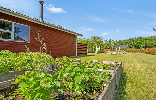 Casa de 3 quartos em Hals com terraço - Foto 13