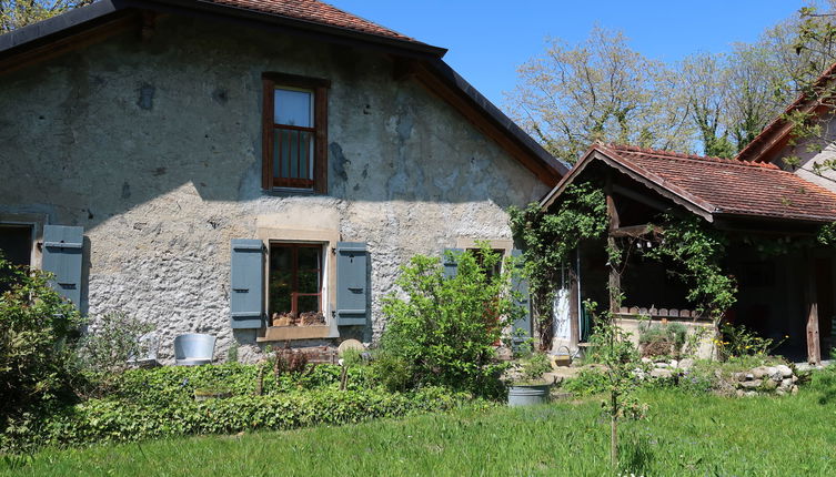 Foto 1 - Appartamento con 1 camera da letto a Noville con giardino e vista sulle montagne