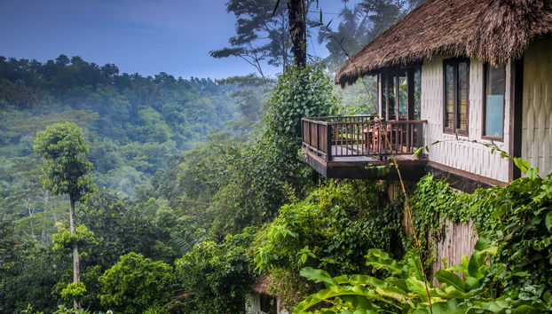 Nandini Jungle By Hanging Gardens - Foto 3