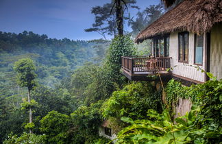 Photo 3 - Nandini Jungle By Hanging Gardens