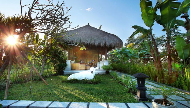 Nandini Jungle By Hanging Gardens - Foto 2