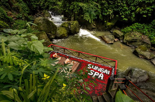 Photo 11 - Nandini Jungle By Hanging Gardens