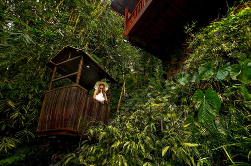 Foto 6 - Nandini Jungle By Hanging Gardens