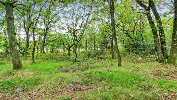 Haus mit 4 Schlafzimmern in Give mit terrasse und sauna - Foto 3