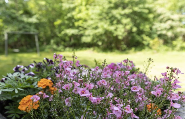 "Friis" - 200m from the sea - Foto 8