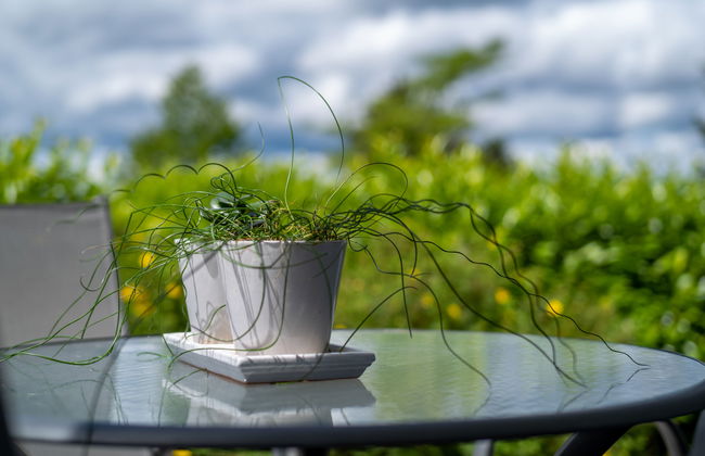 Casa de 3 quartos em Löffingen com jardim e terraço - Foto 27