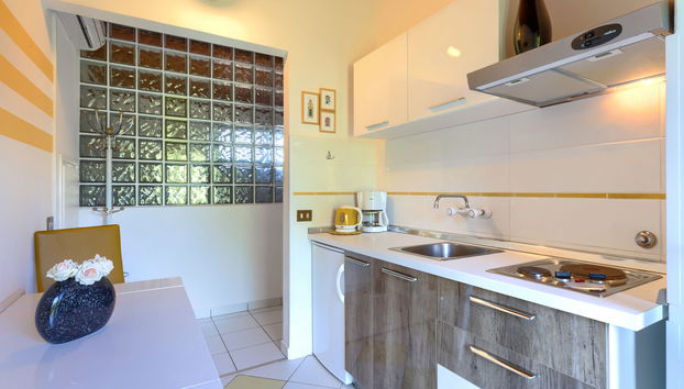 Apartamento de 1 quarto em Labin com piscina e jardim - Foto 5