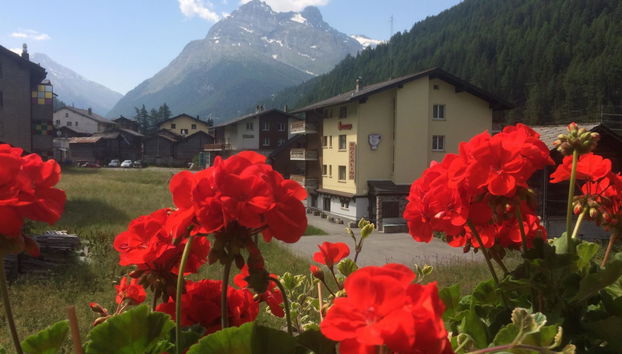 2 bedroom Apartment in Saas-Balen - Photo 5