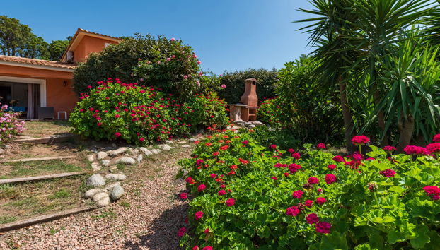 Haus mit 4 Schlafzimmern in Prunelli-di-Fiumorbo mit schwimmbad und garten - Foto 2