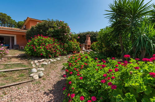 Foto 2 - Casa con 3 camere da letto a Prunelli-di-Fiumorbo con piscina e giardino