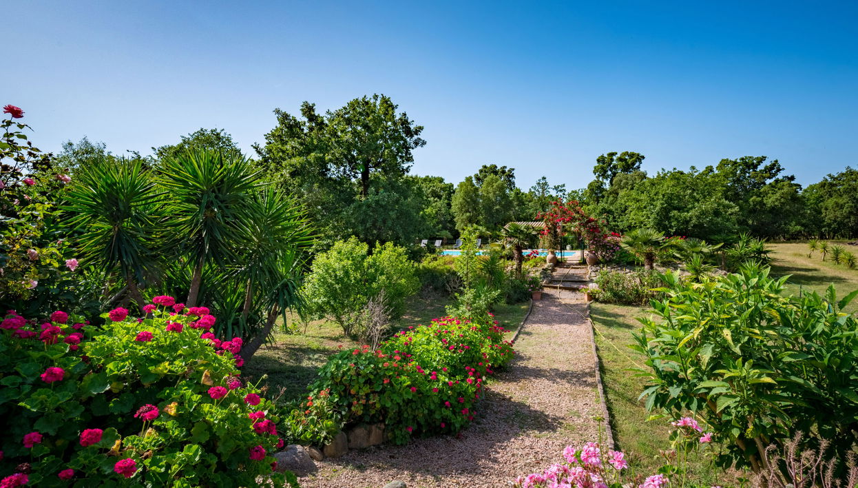 Haus mit 4 Schlafzimmern in Prunelli-di-Fiumorbo mit schwimmbad und garten - Foto 1