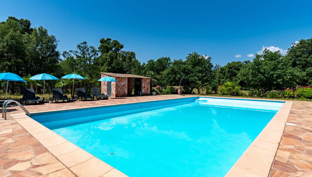 Haus mit 4 Schlafzimmern in Prunelli-di-Fiumorbo mit schwimmbad und garten - Foto 3