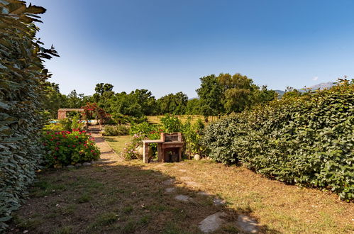 Foto 40 - Haus mit 3 Schlafzimmern in Prunelli-di-Fiumorbo mit schwimmbad und garten