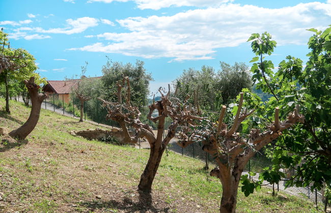 Haus mit 3 Schlafzimmern in Soldano mit garten und terrasse - Foto 17