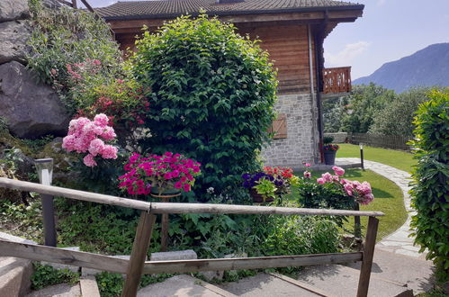 Foto 40 - Appartamento con 1 camera da letto a Les Villards-sur-Thônes con vista sulle montagne