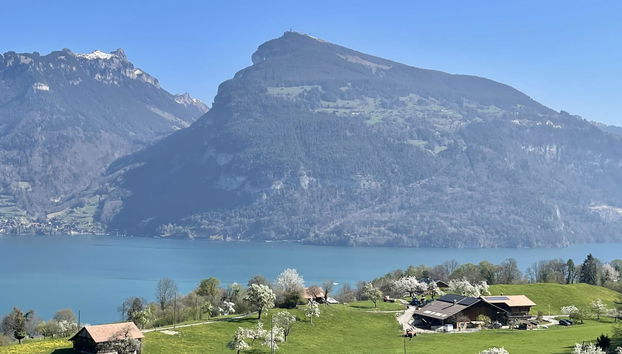 Apartment mit 1 Schlafzimmer in Krattigen mit garten - Foto 2