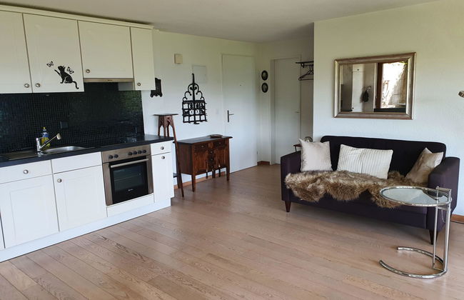 Apartamento de 1 quarto em Krattigen com jardim - Foto 8