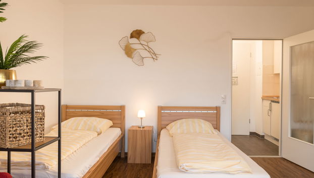Apartment mit 1 Schlafzimmer in Lahnstein mit schwimmbad und sauna - Foto 4