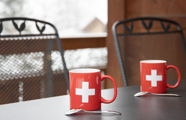 Apartamento de 4 quartos em Grindelwald com jardim e terraço - Foto 20